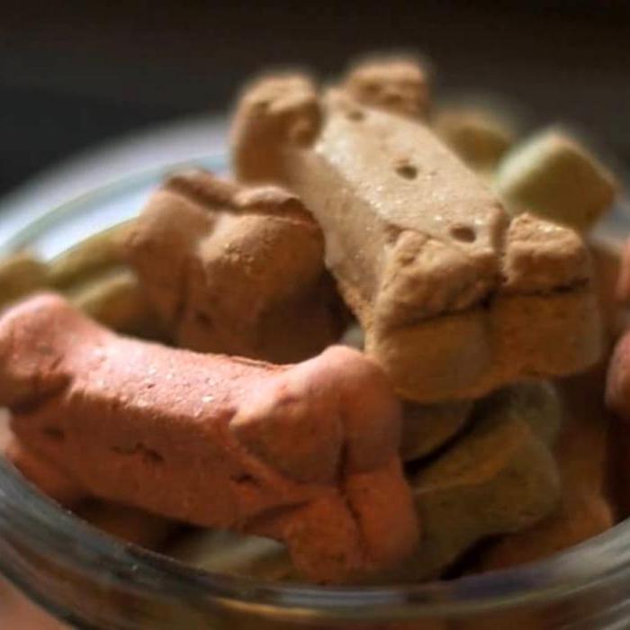 Closeup image of multi-colored bone-shaped dog biscuits in a jar. Still image from Altra video.